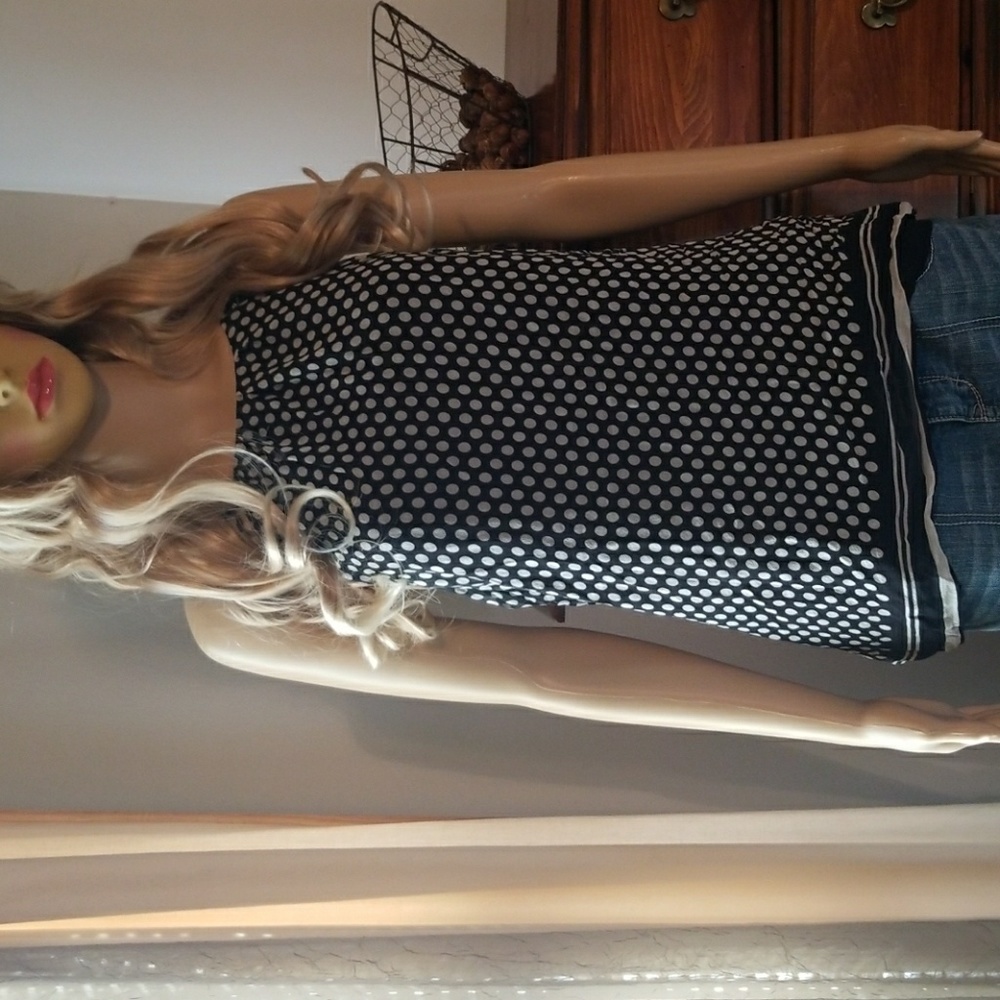Silk Ann taylor tank top